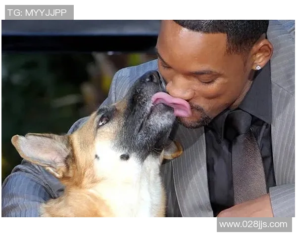 足球球星与宠物猫的独特情缘揭秘：宠物陪伴下的明星生活与温情瞬间